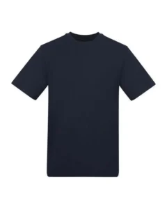 French Navy